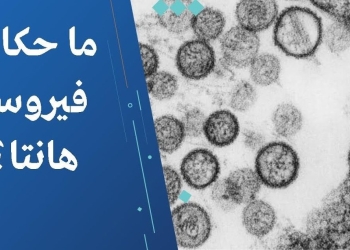 فيروس هانتا