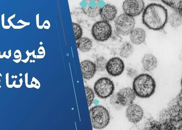 كشف الستار عن بداية انتشار فيروس هانتا وسلاسل التفشي في قرية كاملة 1 فيروس هانتا