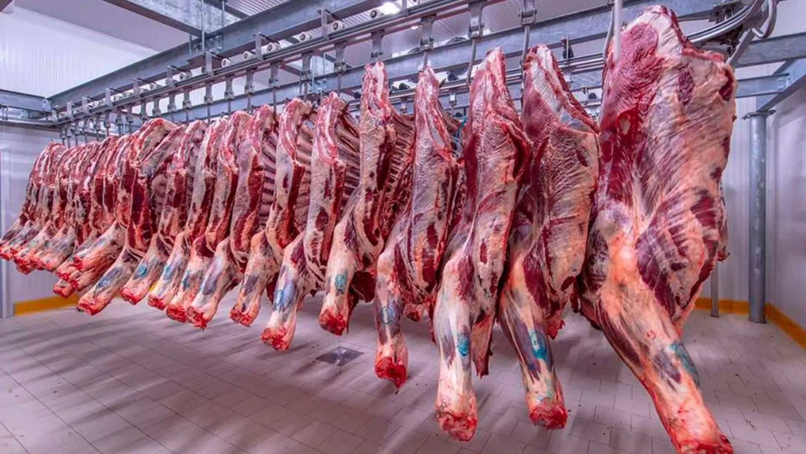 هبوط تاريخي في أسعار اللحوم