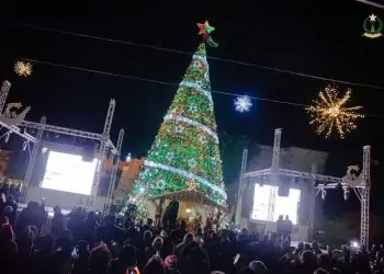 شجرة عيد الميلاد