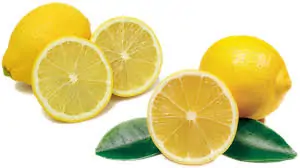 lemon lar