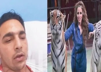 عامل السيرك