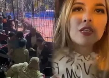 حادث عامل سيرك طنطا
