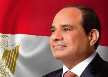 الرئيس السيسي - حركة المحافظين