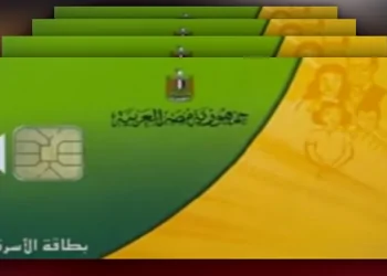الدعم النقدى