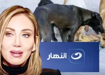 الإعلامية ريهام سعيد