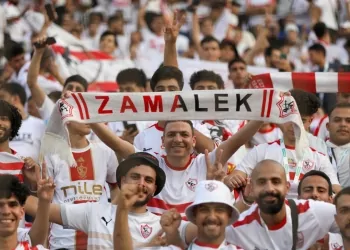 نادي الزمالك